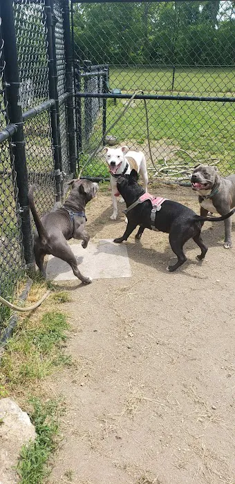 Dennis Brian Murray Dog Park 9