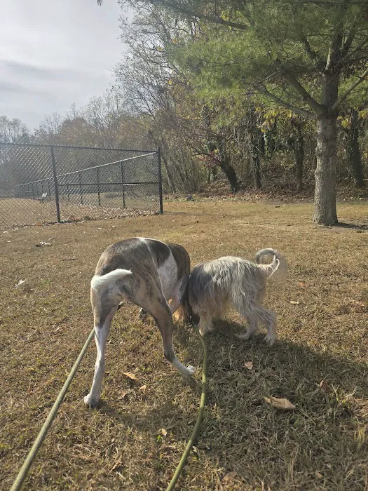 Dennis Brian Murray Dog Park 7