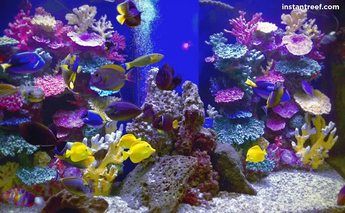Instant Reef Aquarium Decorations 1