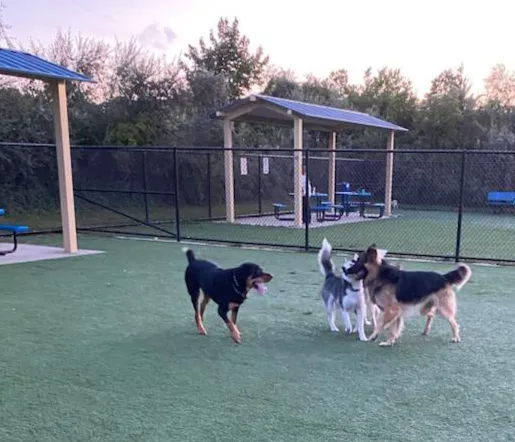 Town of Hempstead Dog Park 1