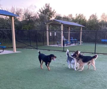 Town of Hempstead Dog Park