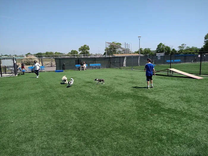 Town of Hempstead Dog Park 5