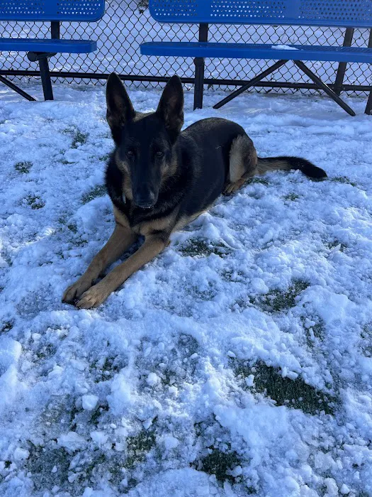 Town of Hempstead Dog Park 9