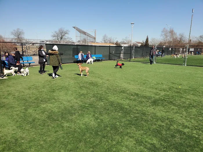 Town of Hempstead Dog Park 8