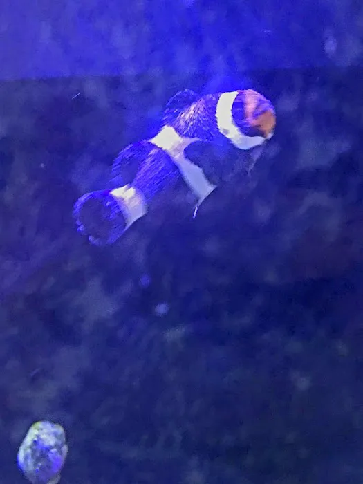 Scenic Cove Aquatics 4