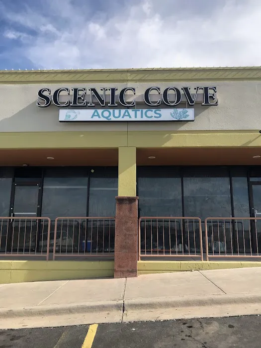 Scenic Cove Aquatics 3