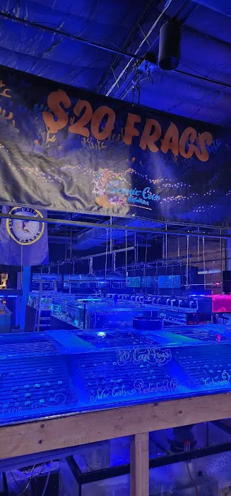 Scenic Cove Aquatics 8