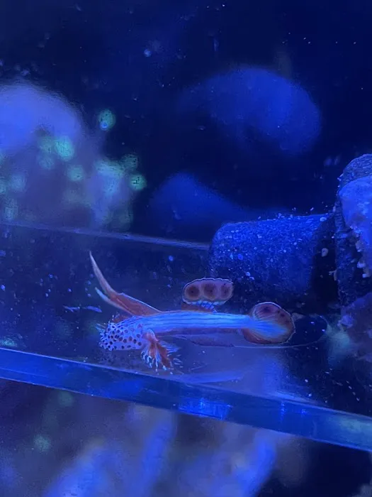 Scenic Cove Aquatics 9