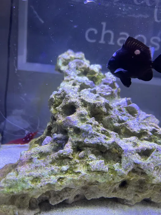 Scenic Cove Aquatics 10