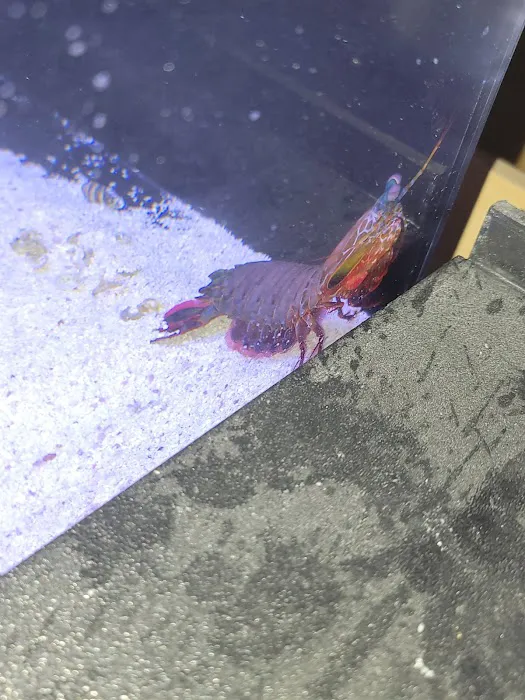 Scenic Cove Aquatics 7
