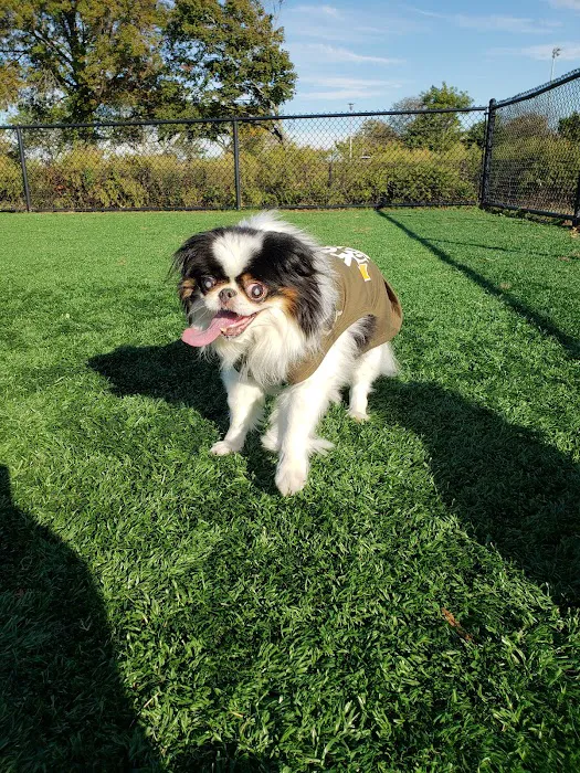 Wantagh Park Dog Run 1