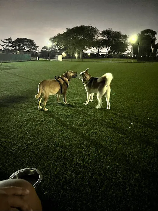 Wantagh Park Dog Run 8