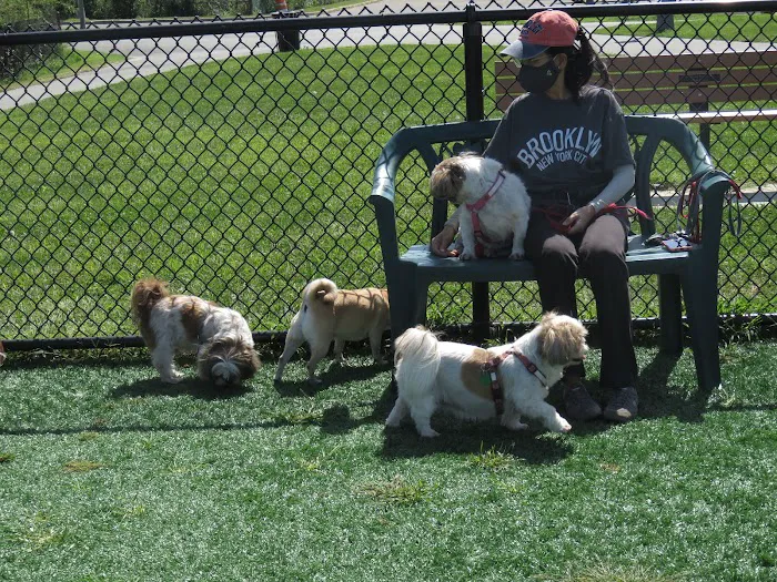 Wantagh Park Dog Run 7