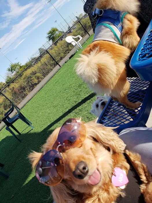 Wantagh Park Dog Run 6