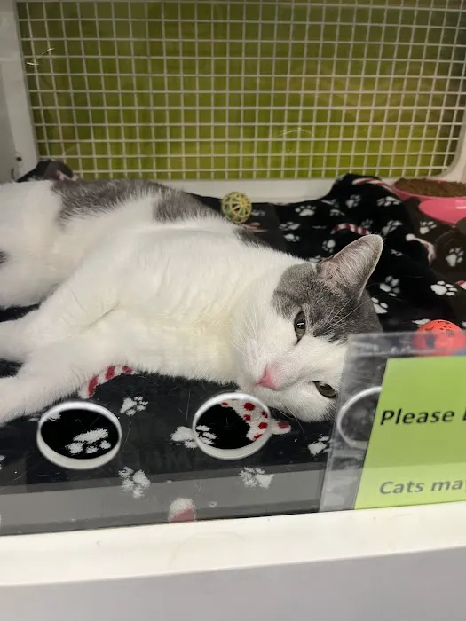 Petco 2