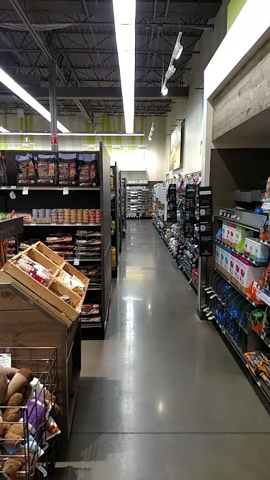 Petco 4