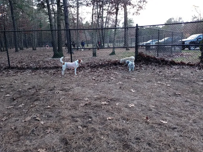 Bark Park 10
