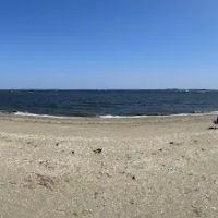 Popamora Point Dog Park ico