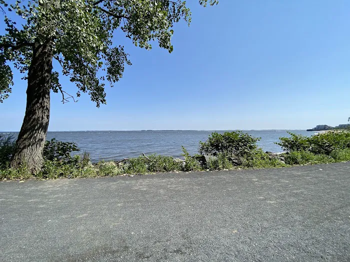 Popamora Point Dog Park 2