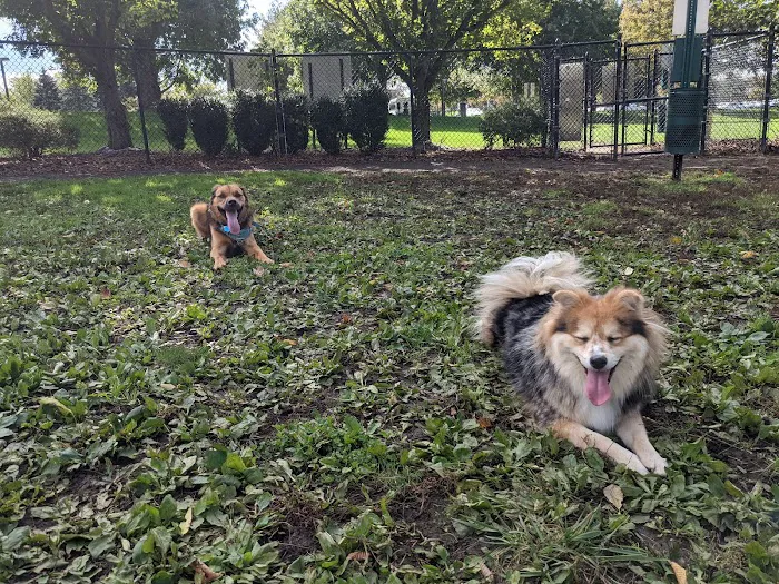 Marlboro Dog Park 2