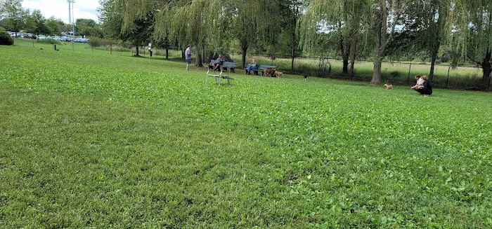 Marlboro Dog Park 6