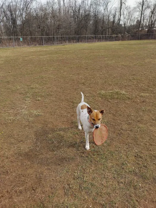 Thompson Park Off-Leash Dog Area 3