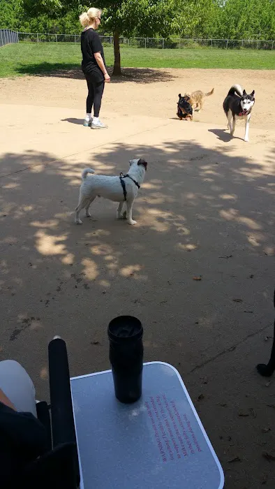 Thompson Park Off-Leash Dog Area 9