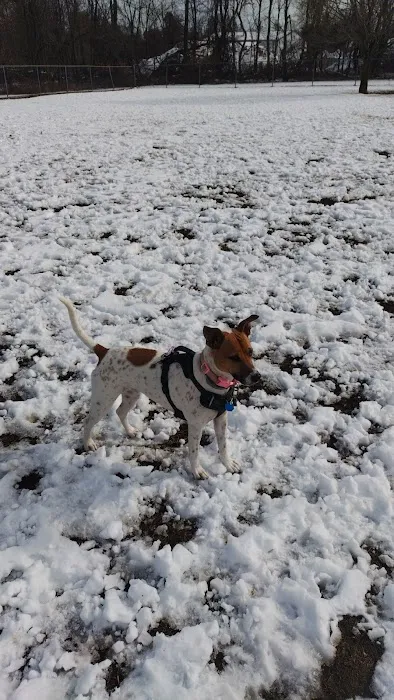Thompson Park Off-Leash Dog Area 10