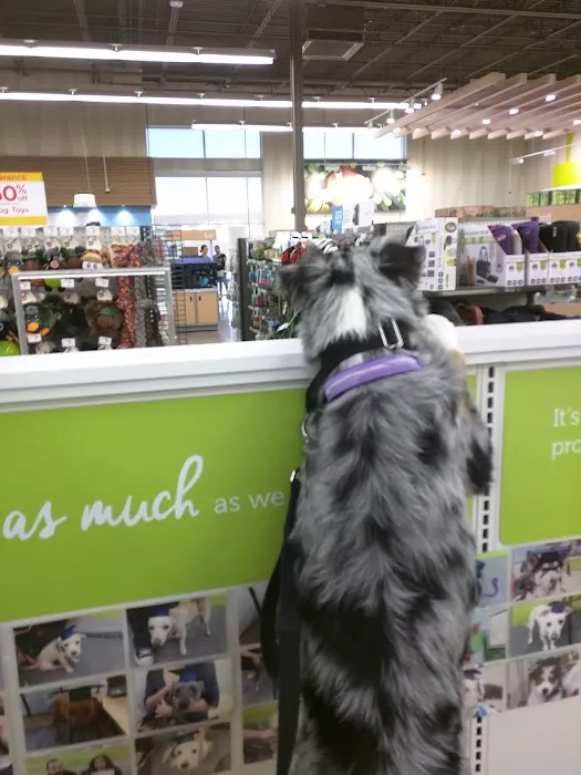 Petco 1