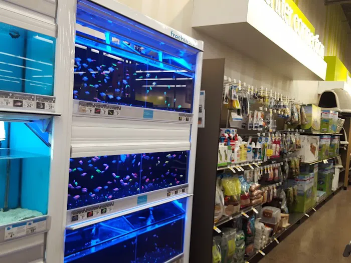 Petco 4