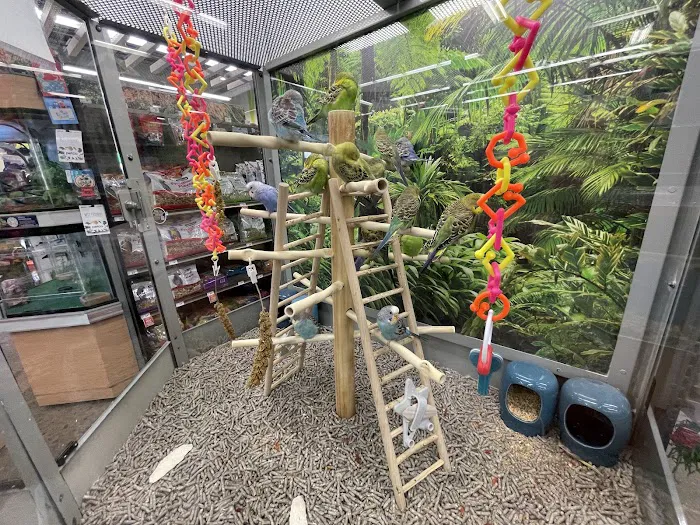 Petco 7