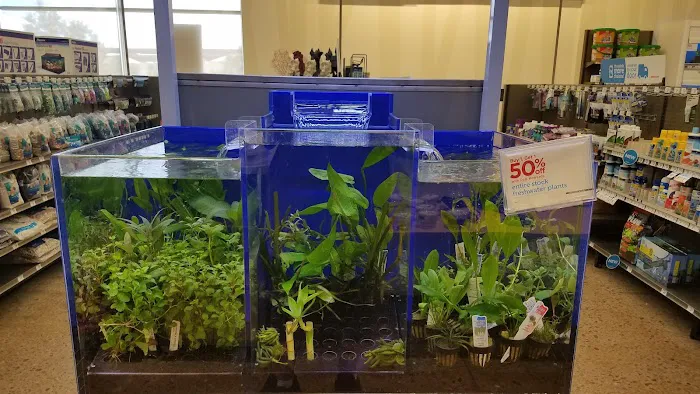 Petco 10