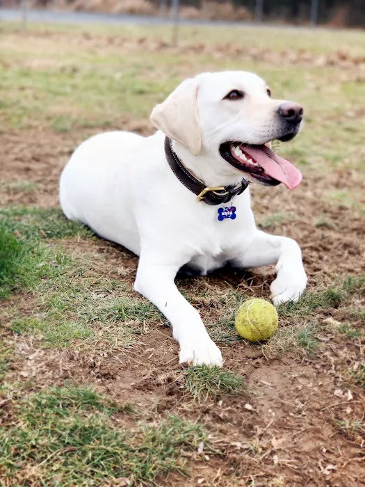 North Brunswick Dog Park 5