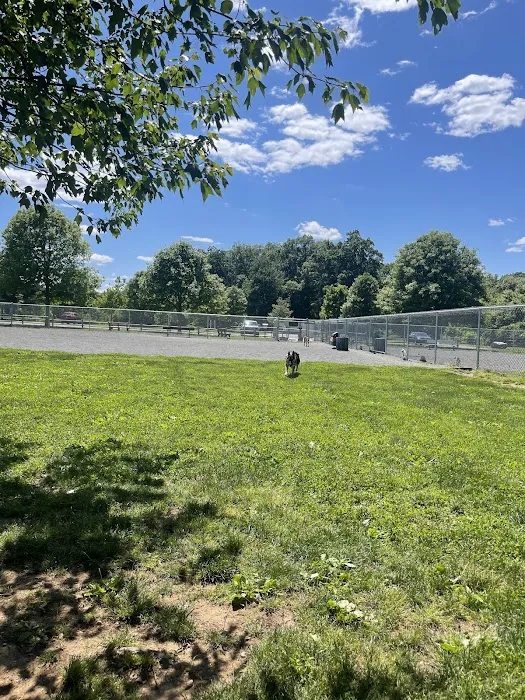 North Brunswick Dog Park 9