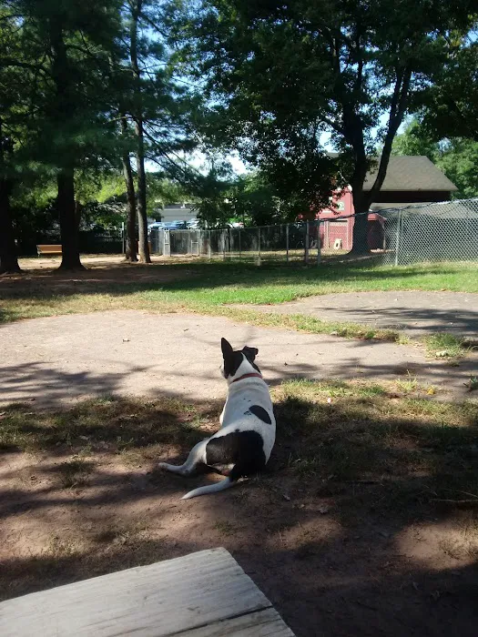 Central Bark Dog Park 2