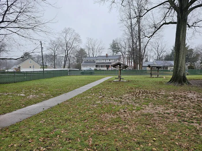 Central Bark Dog Park 6