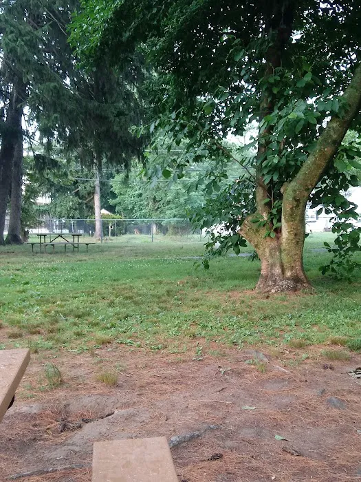 Central Bark Dog Park 9