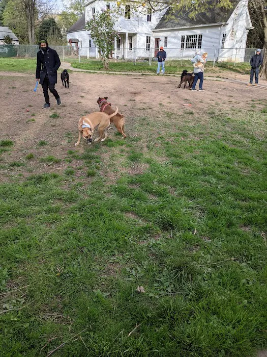 Central Bark Dog Park 8