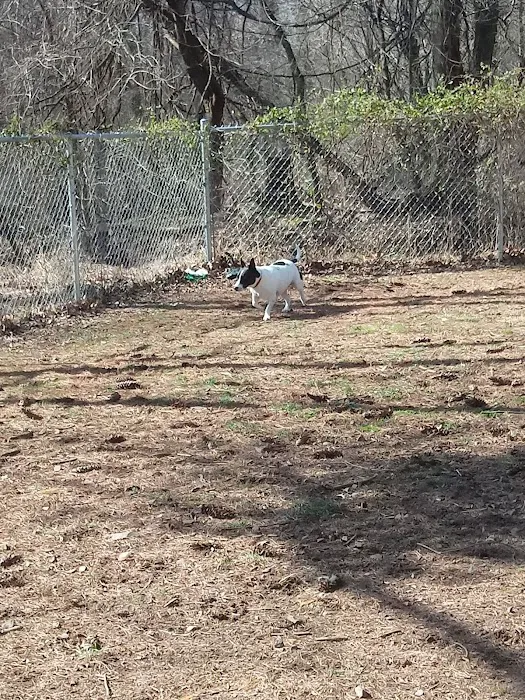 Central Bark Dog Park 7