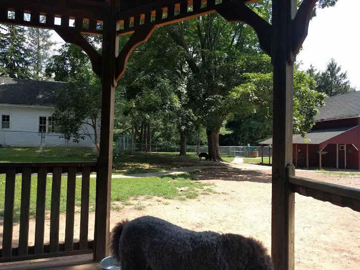 Central Bark Dog Park 10