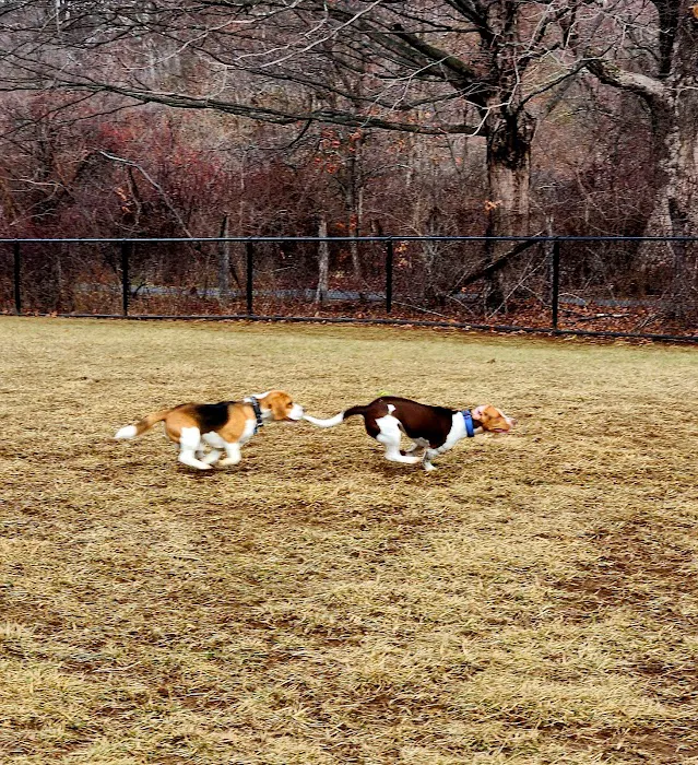 East County Park - Dog Park 2