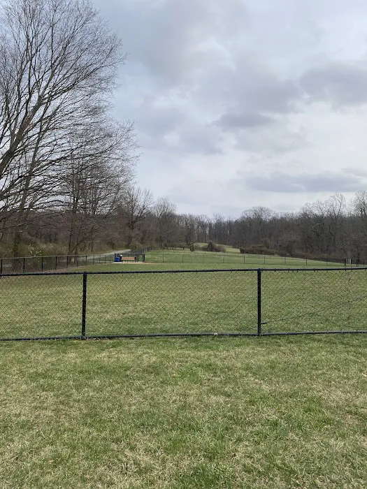 East County Park - Dog Park 3