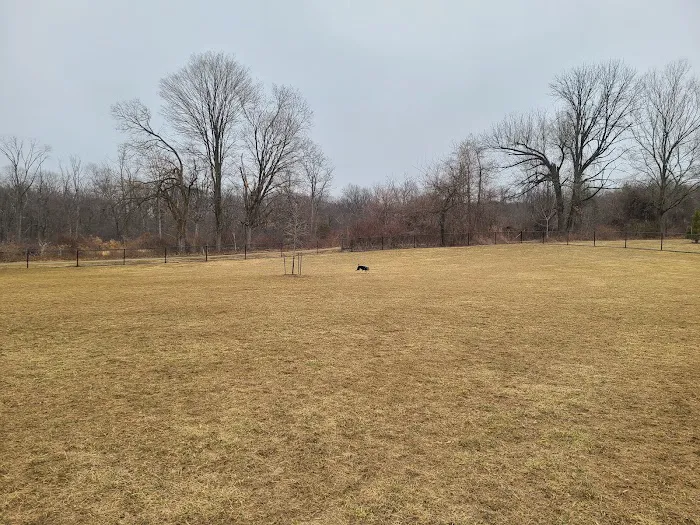 East County Park - Dog Park 6
