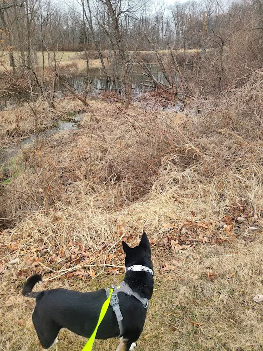 East County Park - Dog Park 5