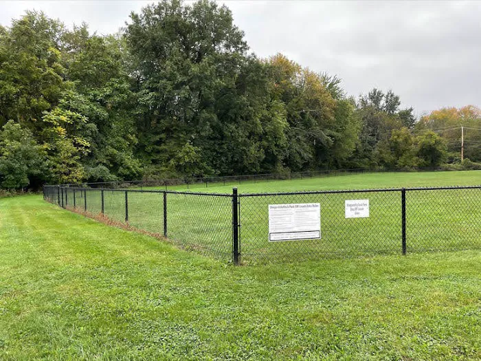 Off-Leash Dog Park (Shepard Kollock) 2