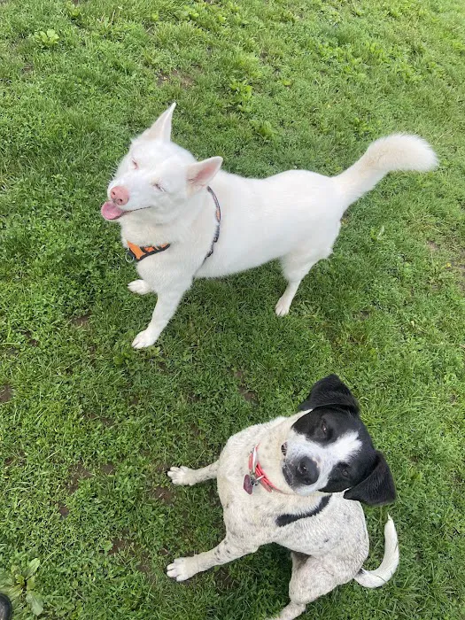 Off-Leash Dog Park (Shepard Kollock) 7