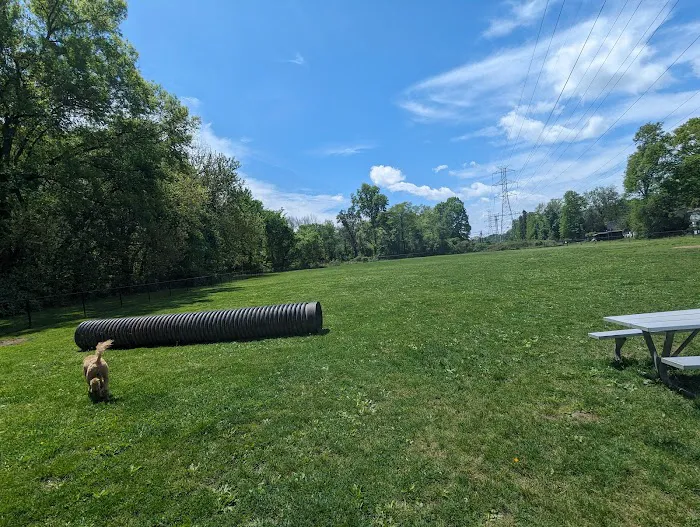 Off-Leash Dog Park (Shepard Kollock) 4