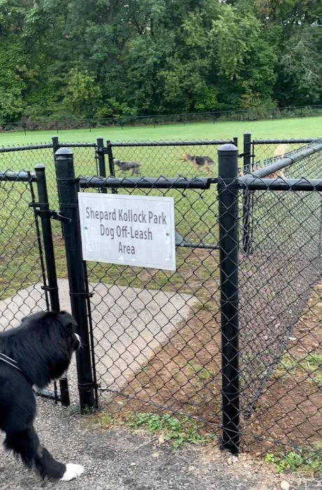 Off-Leash Dog Park (Shepard Kollock) 9