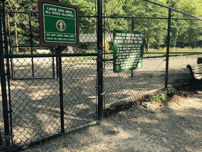 Large Dog Area 2
