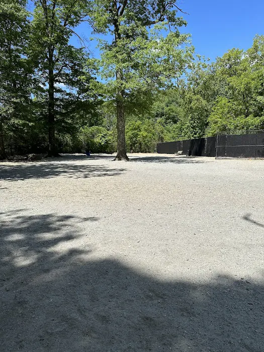 Large Dog Area 3